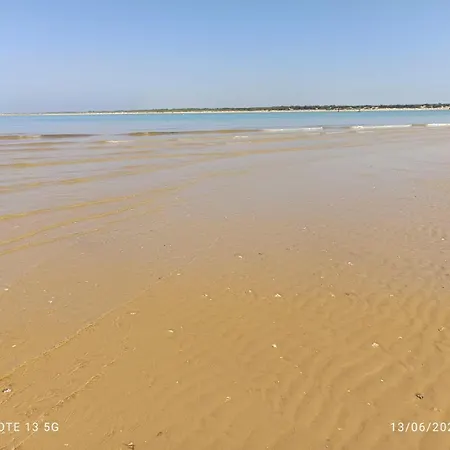 Tierra Y Mar *