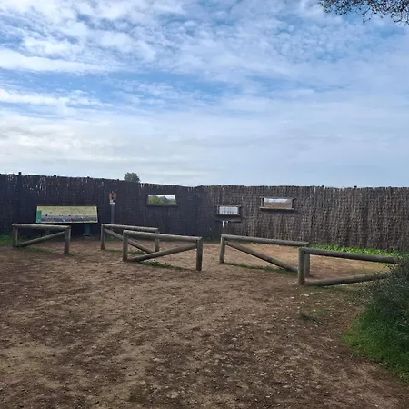 Tierra Y Mar *